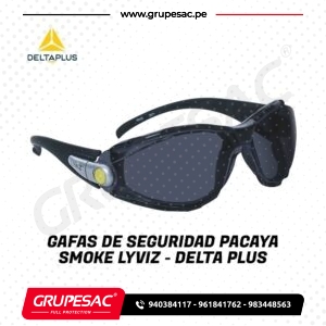 Gafas de Seguridad PACAYA SMOKE LYVIZ – DeltaPlus